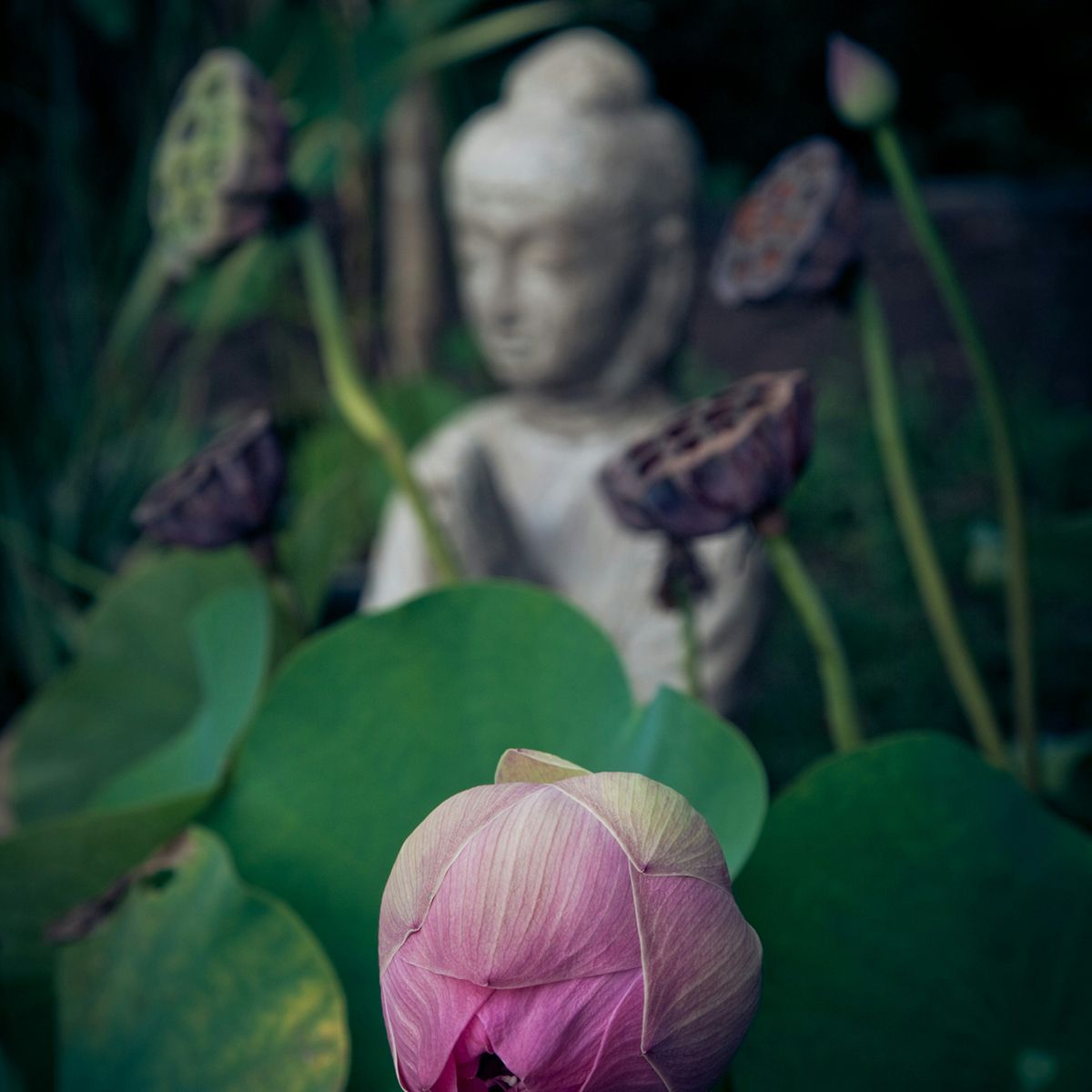 ©unsplash