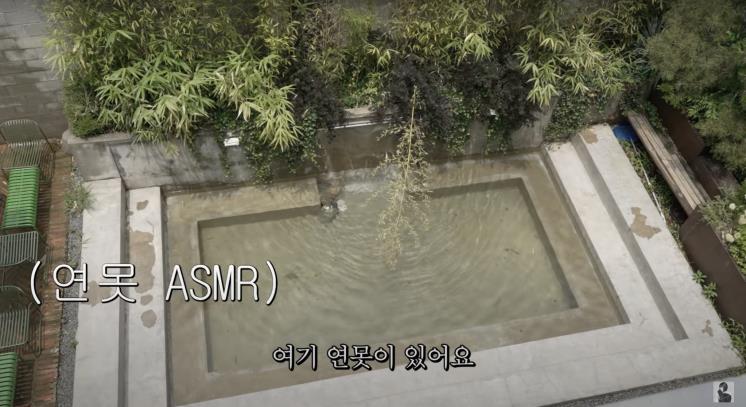 ‘진격의 송경아’ 유튜브 영상 캡처