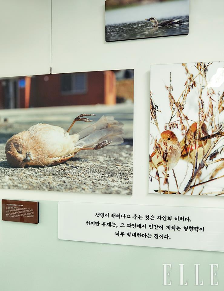 "생명이 태어나고 죽는 것은 자연의 이치다. 그런데 문제는 인간이 끼치는 영향력이 너무 막대하다는 것이다” 재활관리사가 직접 쓴 문구와 현장 촬영 사진으로 구성된 사진전.