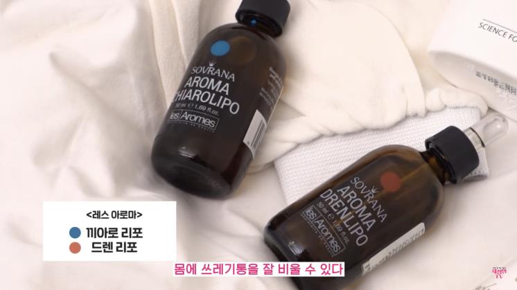 채정안 유튜브 영상 캡처