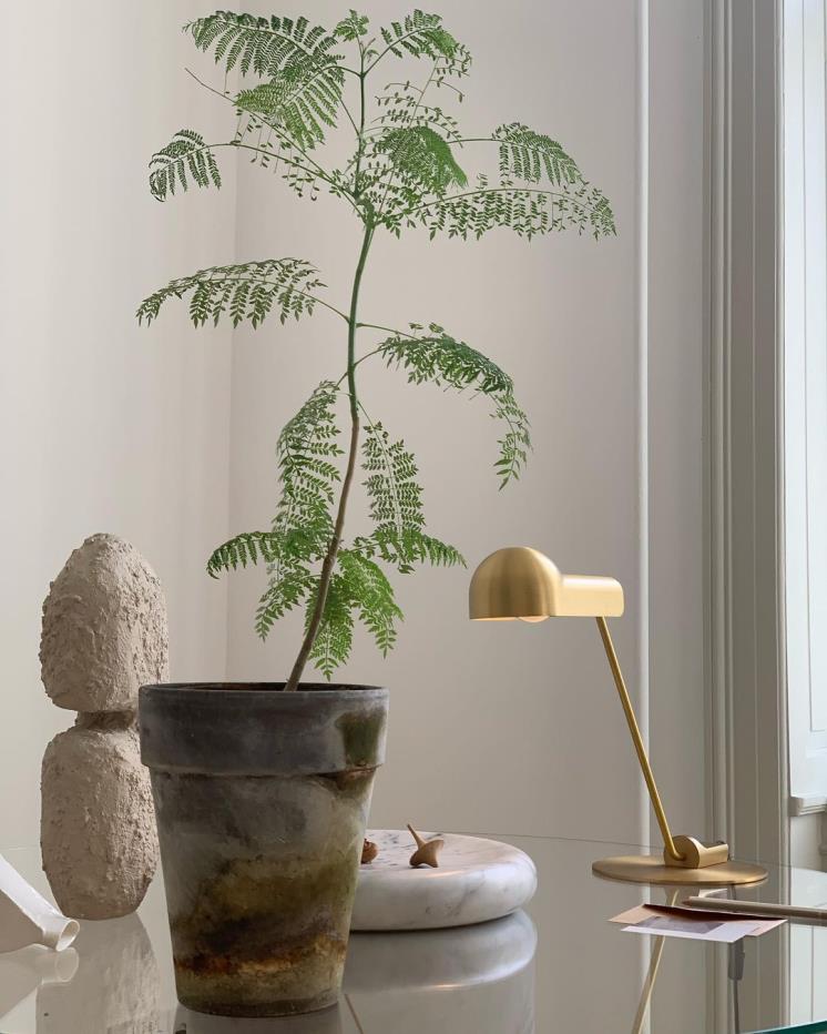 루밍 인스타그램