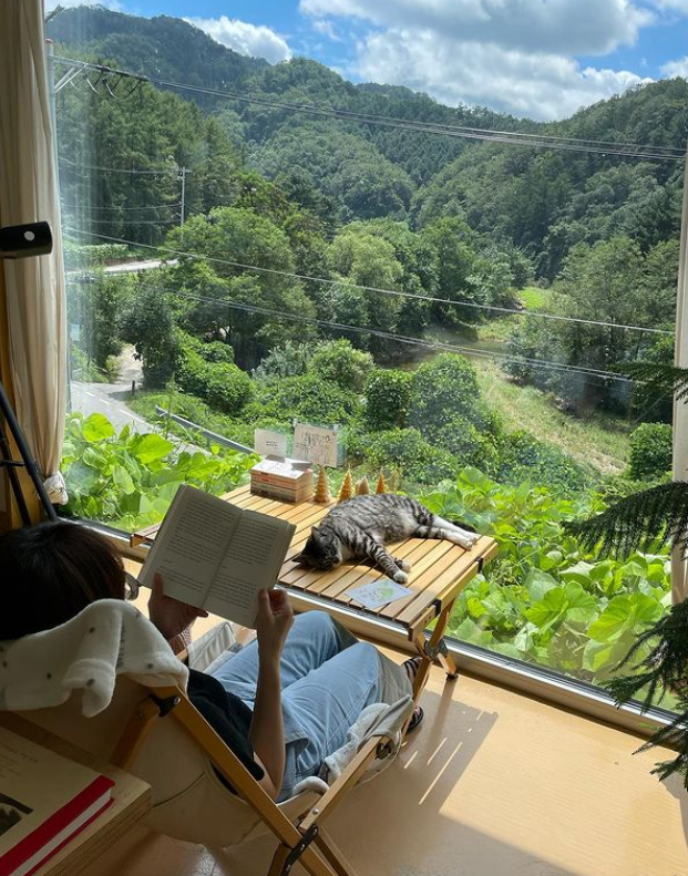 썸원스페이지 숲 