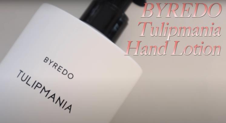 ‘담비손 DambiXon’ 유튜브 영상 캡처