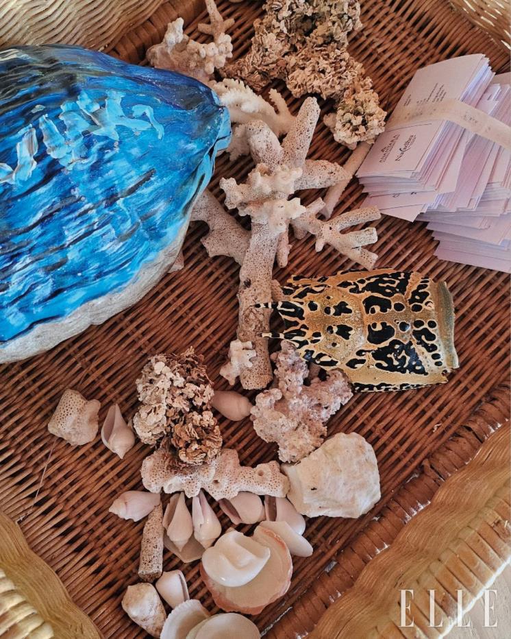  아난타라는  바다와  상생을  위해  ‘ 산호  입양 ’ 액티비티를  장려한다