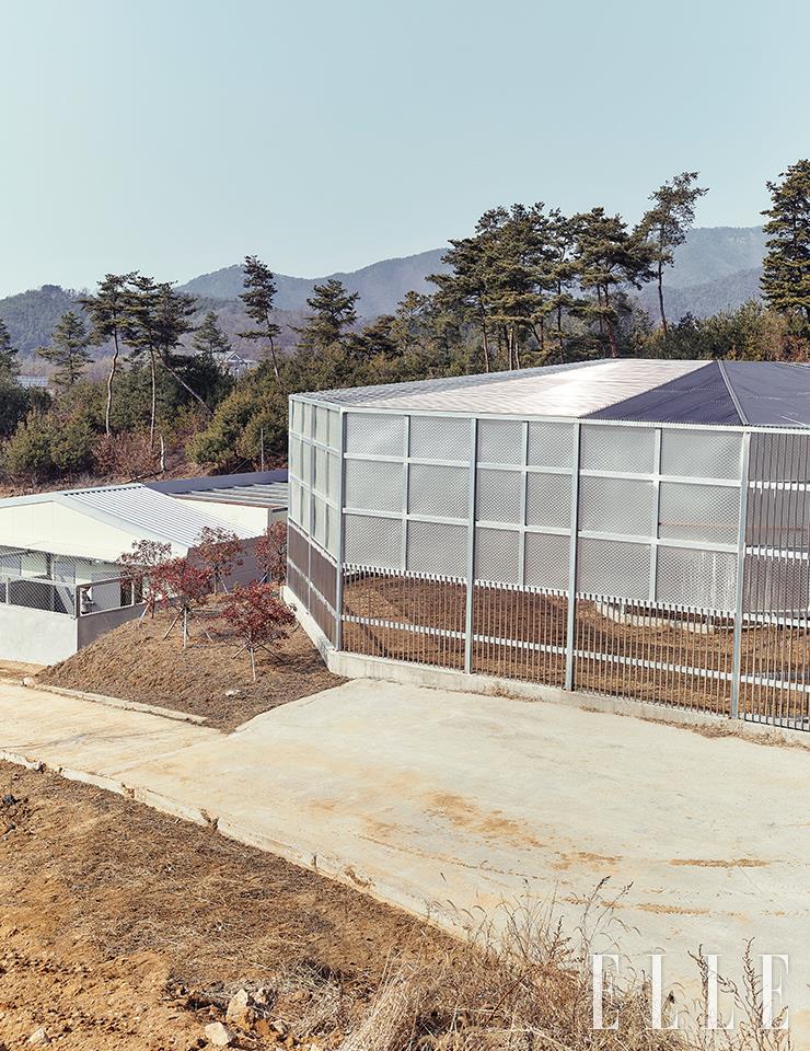 최근 새롭게 지은 대형동물재활비행장. 야생동물을 자연으로 돌려보내기 위해서는 각 개체의 특징을 고려한 재활 프로그램이 필수적이다.