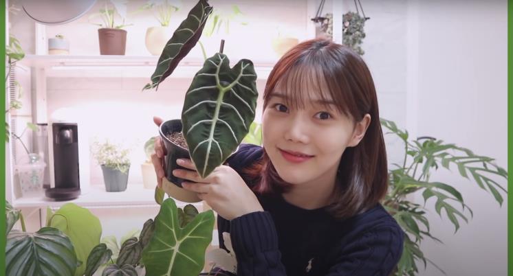 ‘쩡이언니’ 유튜브 영상 캡처