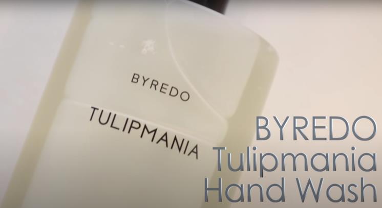 ‘담비손 DambiXon’ 유튜브 영상 캡처