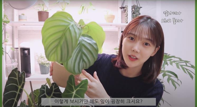 ‘쩡이언니’ 유튜브 영상 캡처