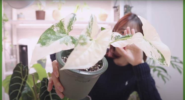 ‘쩡이언니’ 유튜브 영상 캡처