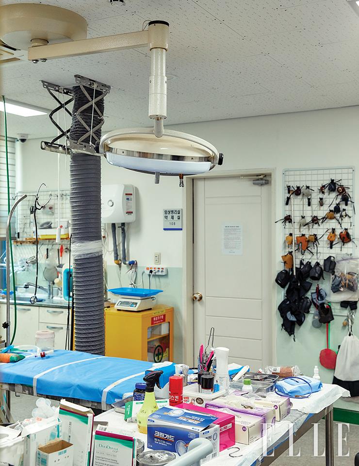 어느덧 10년 넘게 사용하고 있는 낡은 수술대의 모습.