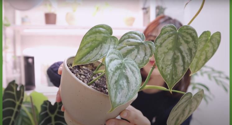 ‘쩡이언니’ 유튜브 영상 캡처