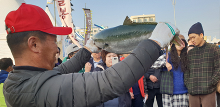 최남단 방어축제 