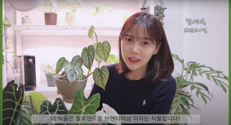 ‘쩡이언니’ 유튜브 영상 캡처