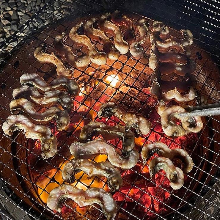 장어의 꿈 