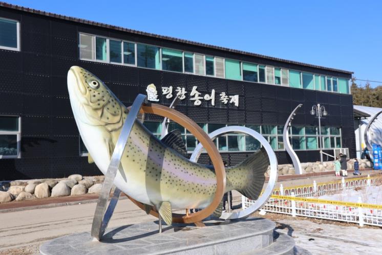 평창송어축제 