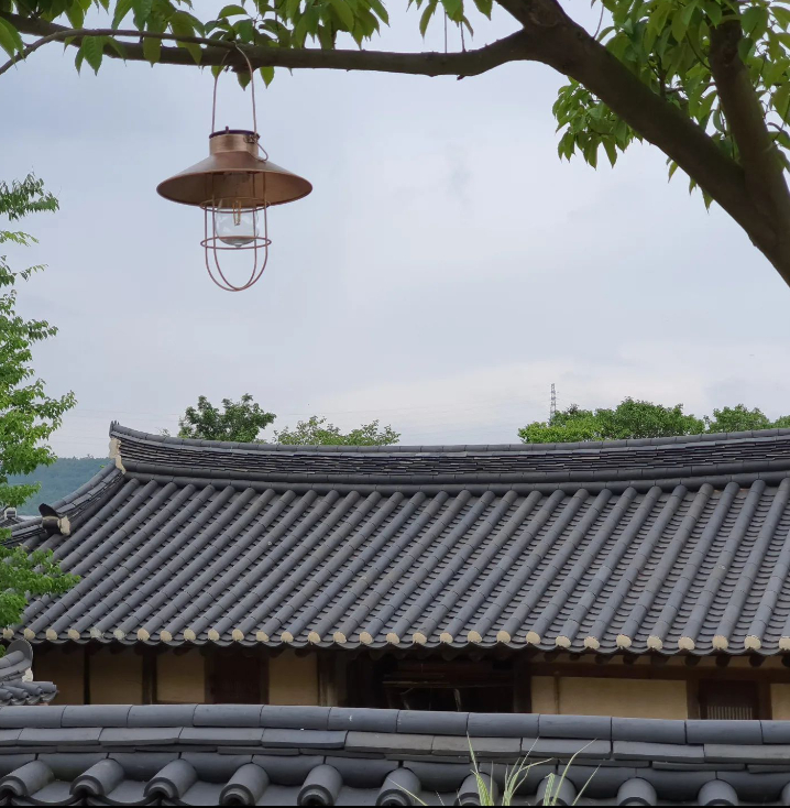 고택 산에는 꽃이 피네