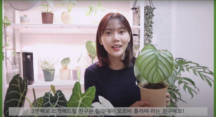 ‘쩡이언니’ 유튜브 영상 캡처