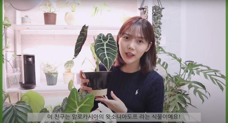 ‘쩡이언니’ 유튜브 영상 캡처