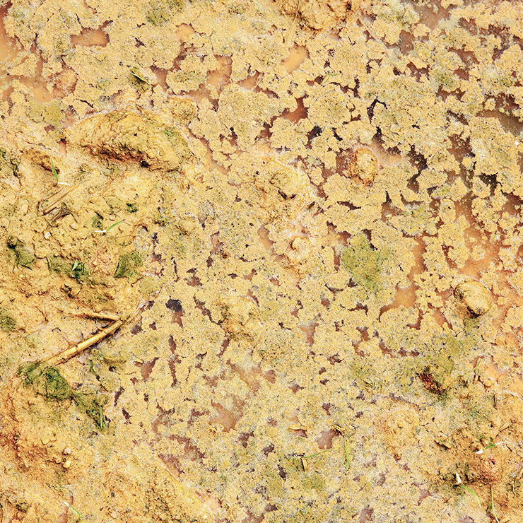 문선희의 연작 <묻다>. 수많은 생명이 매몰된 이후, 그 땅의 표면을 담았다 