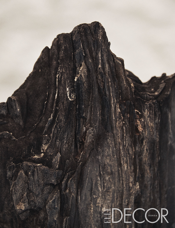 괴석 안의 풍경. 나무 같기도 숯 같기도 한 괴석의 꼭대기는 흡사 가파른 산봉우리다.