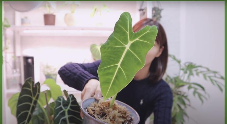 ‘쩡이언니’ 유튜브 영상 캡처